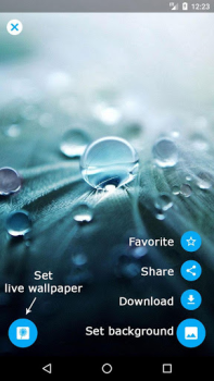 Scaricare Dente di leone sfondi animati Personalizzazione per Android Screenshot 6