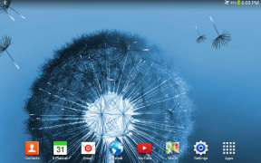Scaricare Dente di leone sfondi animati Personalizzazione per Android Screenshot 7