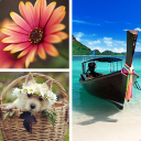 Scaricare  Photo Collage Editor
