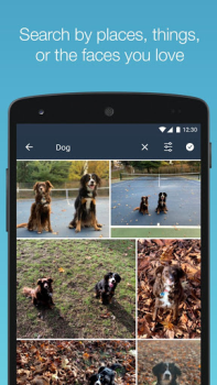 Amazon Photos