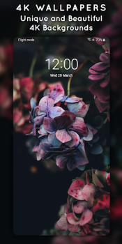 Scaricare 4K Wallpapers, Auto Changer Personalizzazione per Android Screenshot 4
