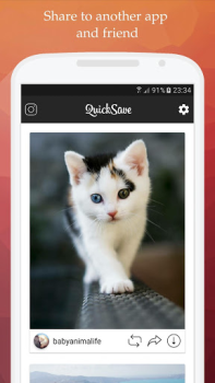 Scaricare QuickSave for Instagram Foto per Android Screenshot 4