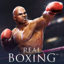 Scaricare  Real Boxing