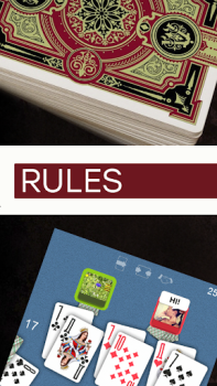 Scaricare Durak - Rules of Card Games Libri e guide per Android Screenshot 3