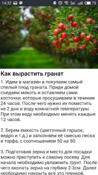 Scaricare Дача и огород Хитрости Советы Libri e guide per Android Screenshot 3