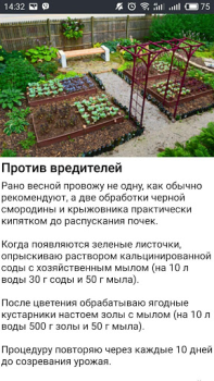 Scaricare Дача и огород Хитрости Советы Libri e guide per Android Screenshot 6