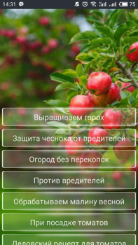 Scaricare Дача и огород Хитрости Советы Libri e guide per Android Screenshot 7