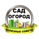 Scaricare  Сад и огород Полезные советы