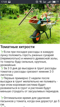 Scaricare ОГОРОД Хитрости садоводов Libri e guide per Android Screenshot 6