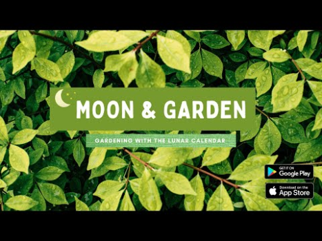 Scaricare Luna & Giardino Stile di vita per Android Screenshot 8