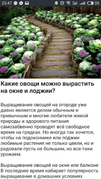 Scaricare Cад Огород без хлопот - советы Libri e guide per Android Screenshot 4