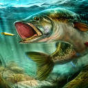 Scaricare Ultimate Fishing Simulator