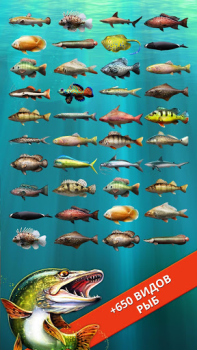 Let's Fish: Gioco di pesca