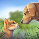 Scaricare  Pet World: Rifugio Per Animali