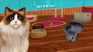 Scaricare Pet Hotel Pensione per animali Simulatori per Android Screenshot 2
