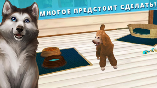 Scaricare Pet Hotel Pensione per animali Simulatori per Android Screenshot 4