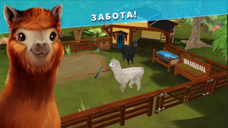 Scaricare Pet Hotel Pensione per animali Simulatori per Android Screenshot 5