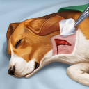 Scaricare  Operate Now: Animal Hospital