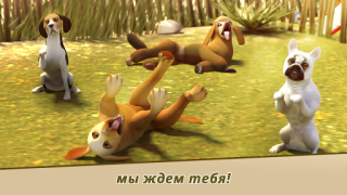 Scaricare Dog Hotel - gioca con i cani Simulatori per Android Screenshot 3