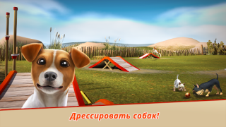 Scaricare Dog Hotel - gioca con i cani Simulatori per Android Screenshot 5