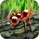 Scaricare  Ants Survival Simulator - go t