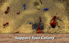 Scaricare Ants Survival Simulator - go t Simulatori per Android Screenshot 2