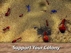 Scaricare Ants Survival Simulator - go t Simulatori per Android Screenshot 6