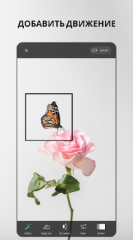 Scaricare VIMAGE - AI Photo Animation Foto per Android Screenshot 2