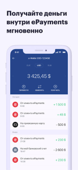 ePayments: wallet & bank card