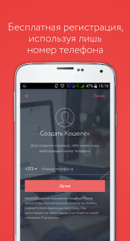 Paynet Portofel