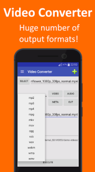 Convertitore Video