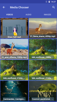 Convertitore Video