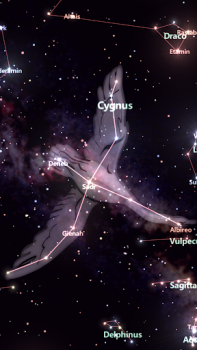 Scaricare Star Tracker - Mobile Sky Map Educazione per Android Screenshot 2