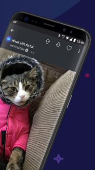 Scaricare Imgur: Funny Memes & GIF Maker Foto per Android Screenshot 2