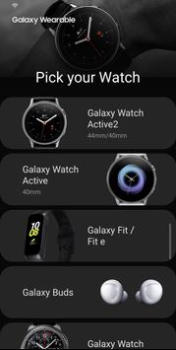 Scaricare Galaxy Wearable Strumenti per Android Screenshot 2
