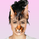 Scaricare  Foto Animali Facce Buffe
