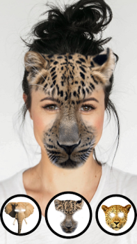 Scaricare Foto Animali Facce Buffe Intrattenimento per Android Screenshot 3