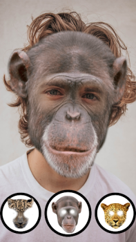 Scaricare Foto Animali Facce Buffe Intrattenimento per Android Screenshot 4