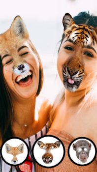 Scaricare Foto Animali Facce Buffe Intrattenimento per Android Screenshot 6