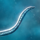 Scaricare  Bionix: Spore Evolution Sim 3D