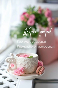 Scaricare Доброе утро Добрый вечер Intrattenimento per Android Screenshot 2