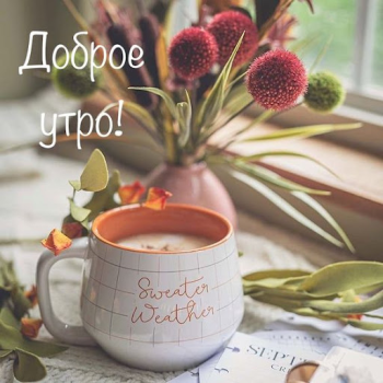 Scaricare Доброе утро Добрый вечер Intrattenimento per Android Screenshot 3