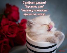 Scaricare Прикольные с добрым утром Intrattenimento per Android Screenshot 2