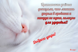 Scaricare Прикольные с добрым утром Intrattenimento per Android Screenshot 5