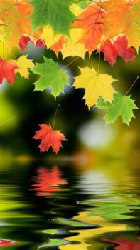 Scaricare HD Wallpapers Personalizzazione per Android Screenshot 2