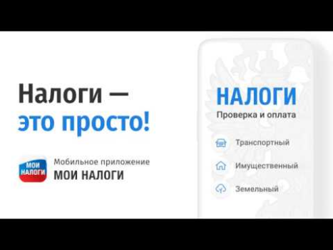 Scaricare Мои налоги: личный кабинет Finanza per Android Screenshot 8